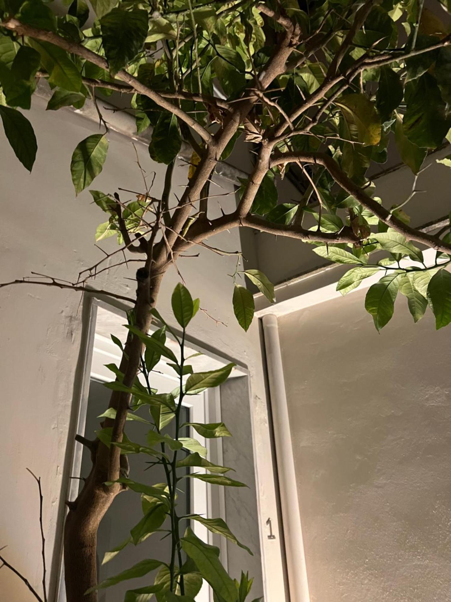 Ferienwohnung Vico Ventitre 1 Noto Exterior foto